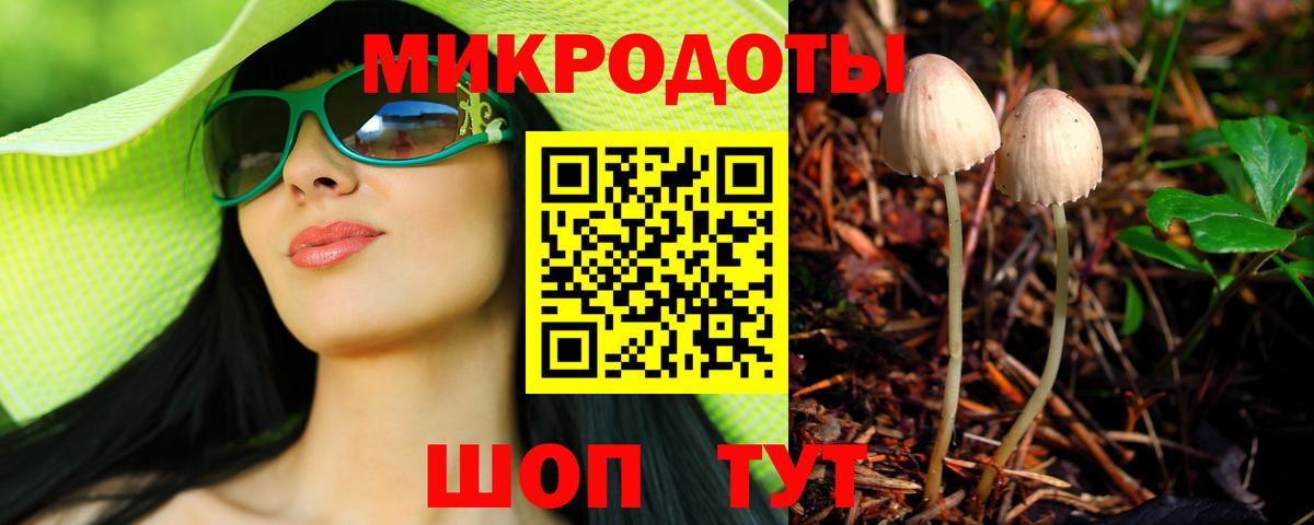 Кингисепп  Псилоцибиновые грибы Magic Shrooms  Вход с VPN 
